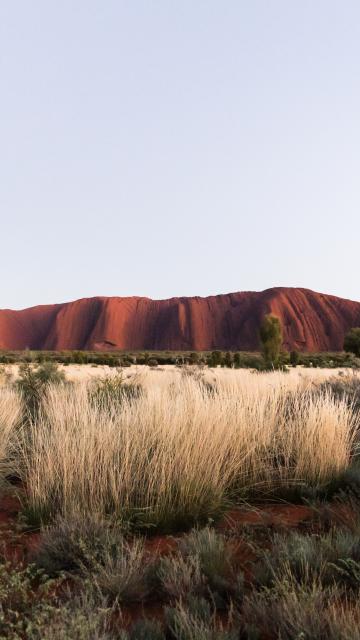 Uluru Sunrise